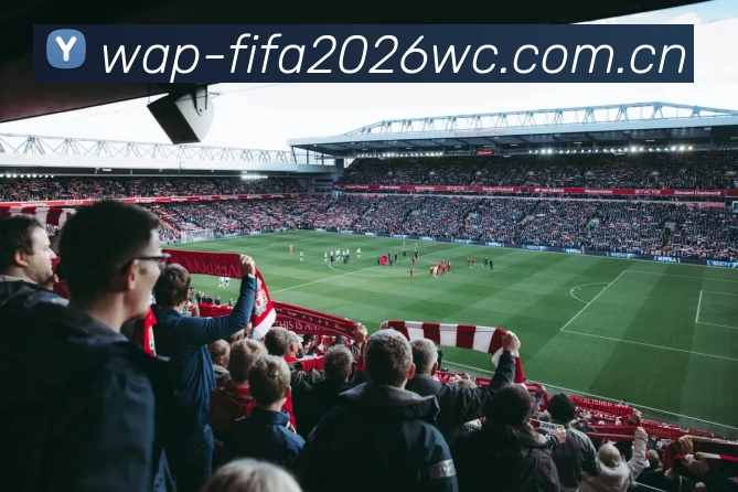 FIFA 官方数据授权认证